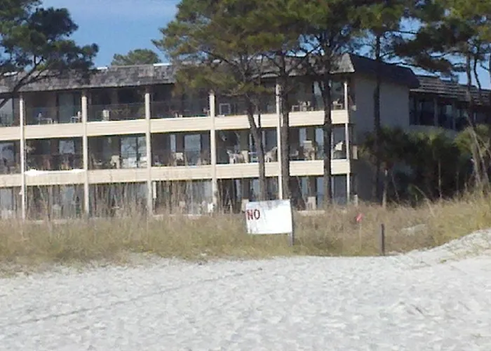 Nothing But Ocean In Forest Beach