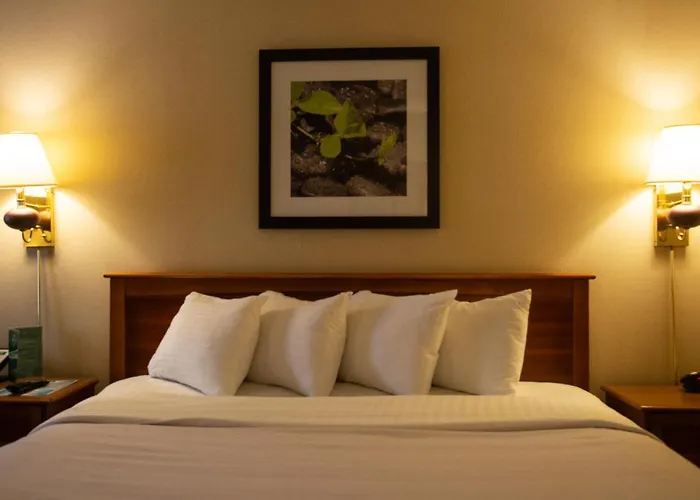 Holiday Lodge Hotel And Conference Center