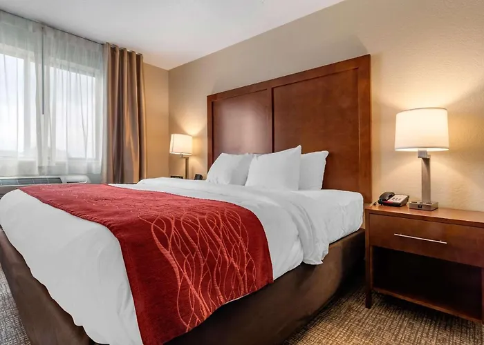 Comfort Inn & Suites South Hill I-85