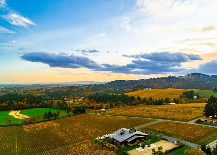 Pinot Vista